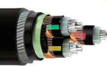 CU/XLPE/CTS/SWA/PVC Steel Wire Armoured Power Cable MV Copper Cable