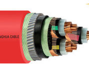 CU/XLPE/CTS/SWA/PVC Steel Wire Armoured Power Cable MV Copper Cable