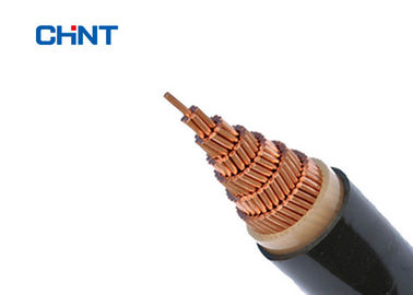 XLPE Insulated Low Voltage Power Cable PVC Sheath IEC60502 BS7870 Standard