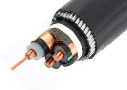 CU/XLPE/CTS/SWA/PVC Steel Wire Armoured Power Cable MV Copper Cable